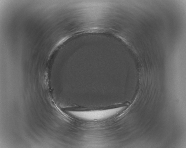 X0000066111402200603241532