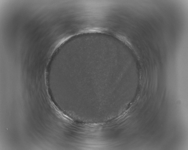 X0000066111404200603241532