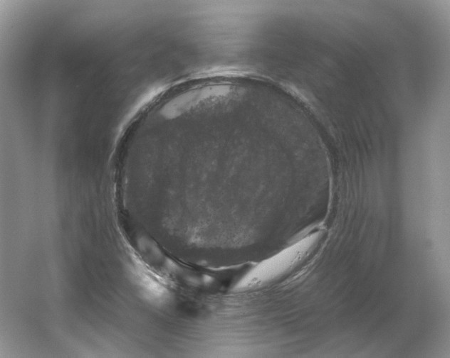 X0000066111406200603241532