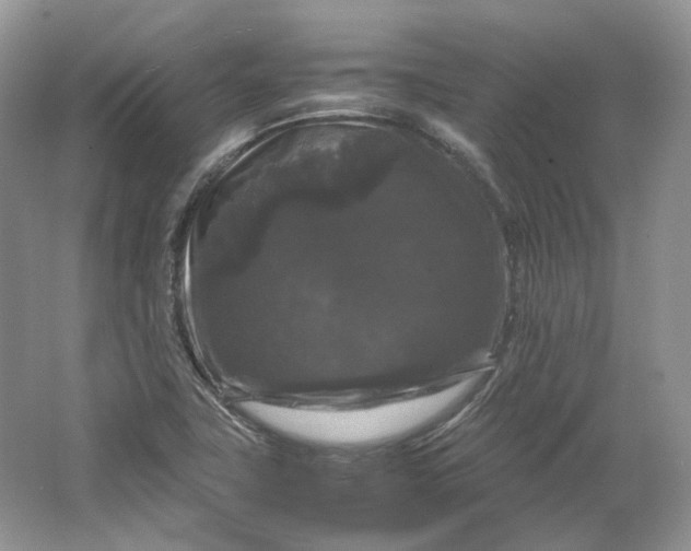 X0000066111411200603241532