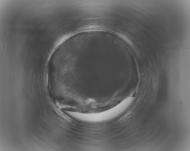 X0000066111413200603241532