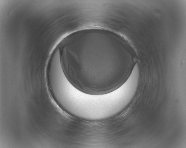 X0000066111422200603241532