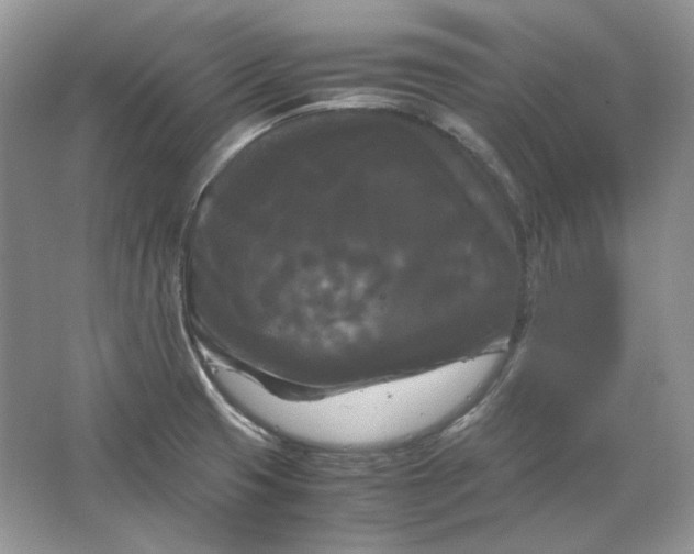 X0000066111425200603241532