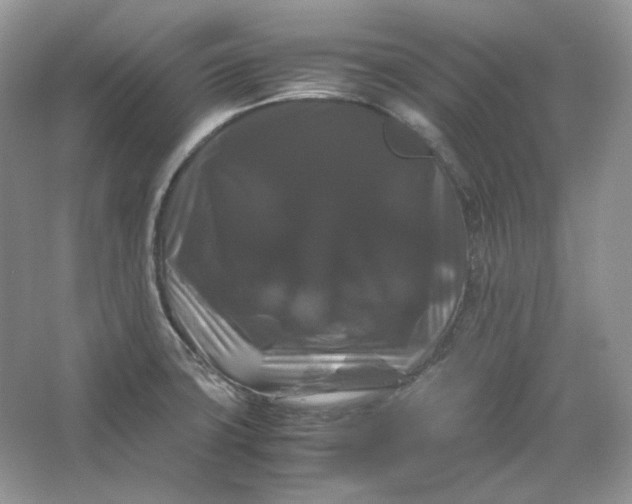 X0000066111427200603241532