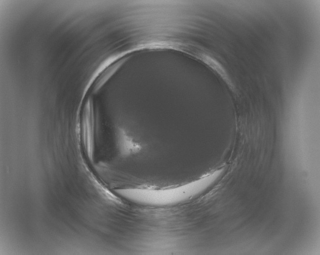 X0000066111428200603241532