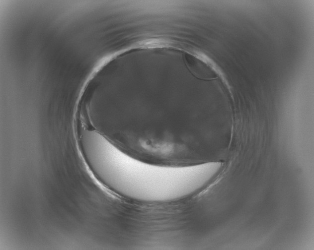 X0000066111429200603241532