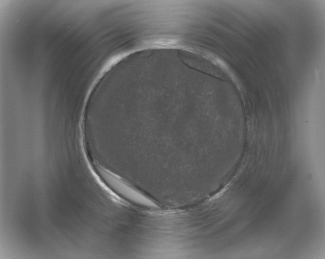 X0000066111432200603241532