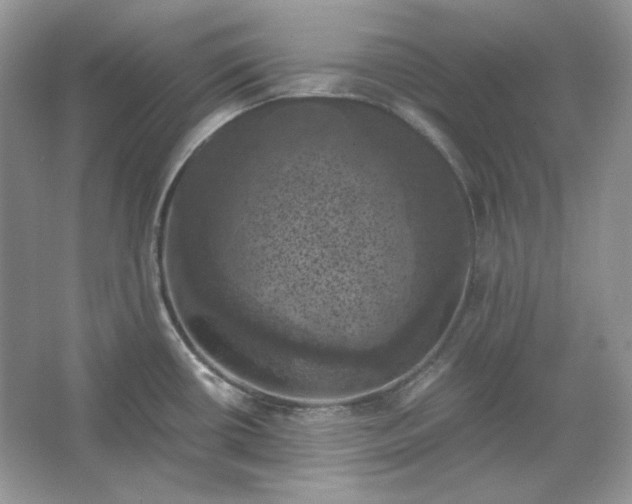 X0000066111434200603241532