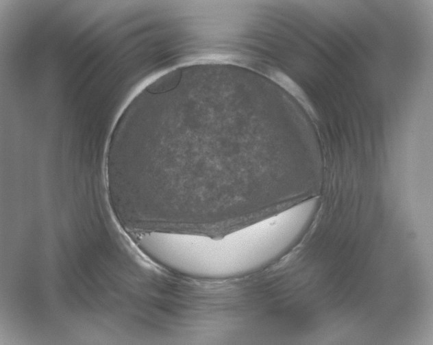 X0000066111436200603241532