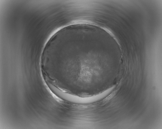 X0000066111438200603241533