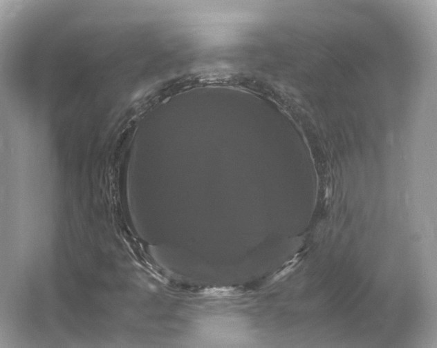 X0000066111445200603241532