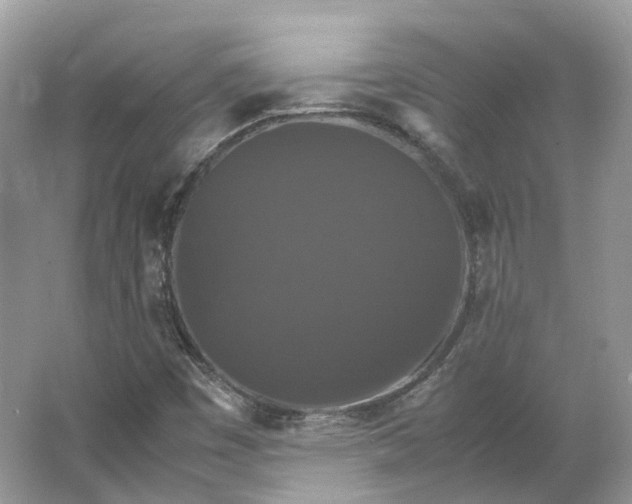 X0000066111449200603241532