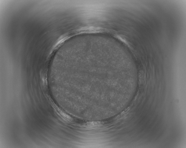 X0000066111451200603241532