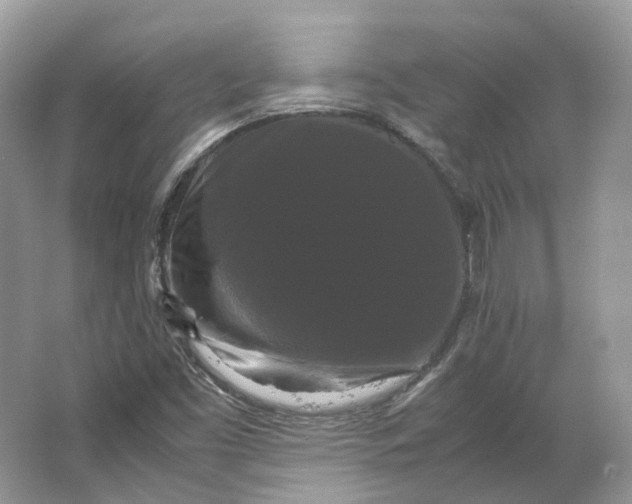 X0000066111453200603241532