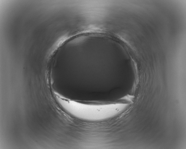 X0000066111455200603241532