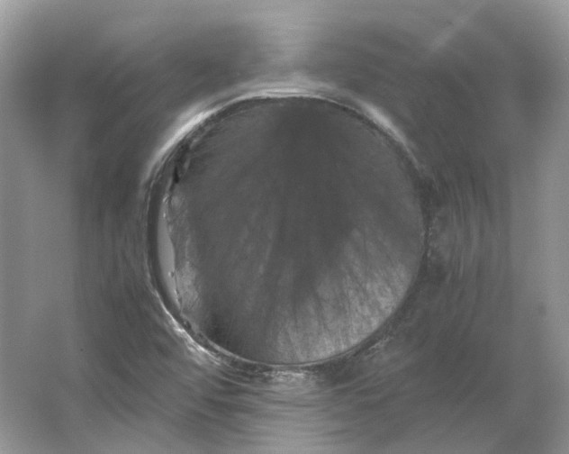 X0000066111456200603241531