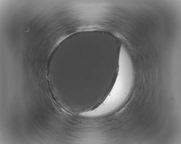 X0000066111457200603241531
