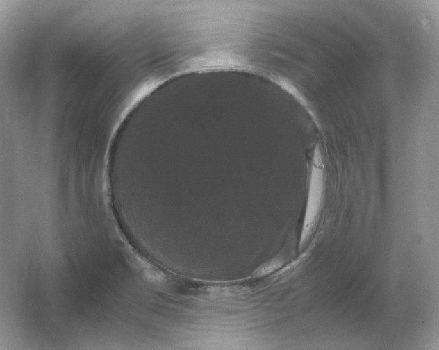 X0000066111469200603241531