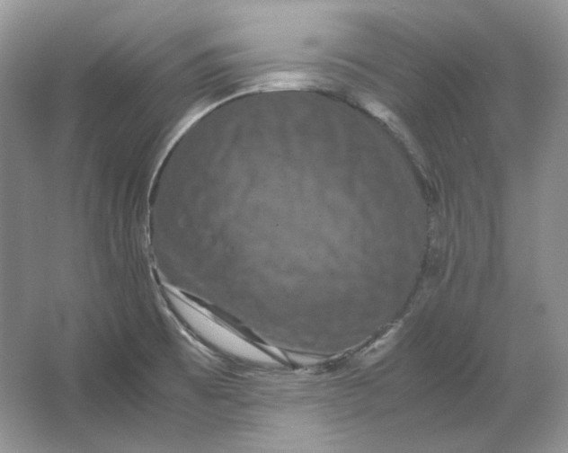 X0000066111473200603241531