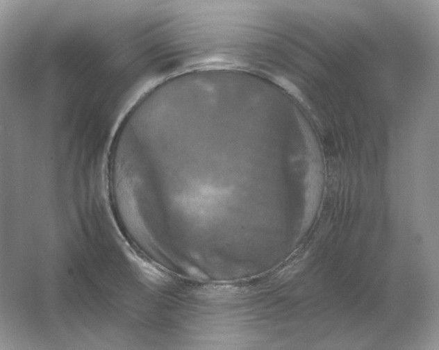X0000066111474200603241531