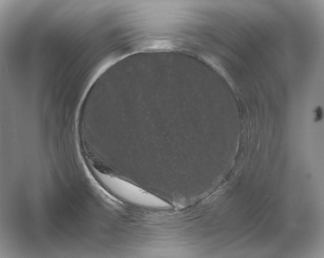X0000066111475200603241531