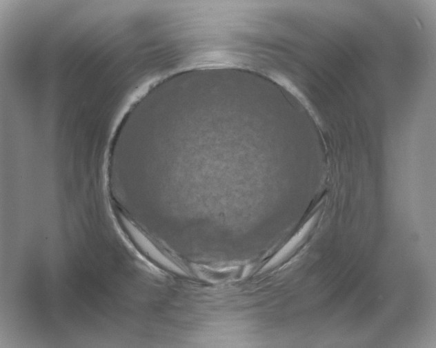 X0000066111477200603241531