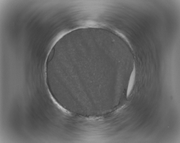 X0000066111479200603241531