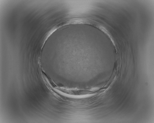 X0000066111481200603241531