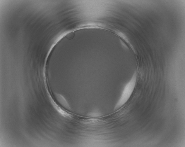 X0000066111482200603241531