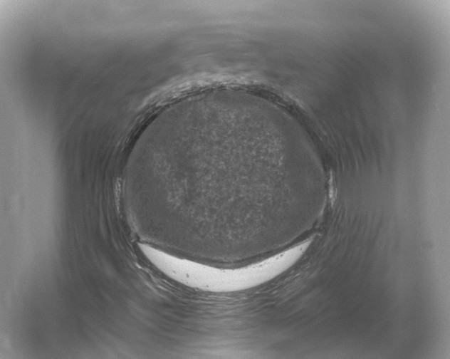 X0000066111492200603241530