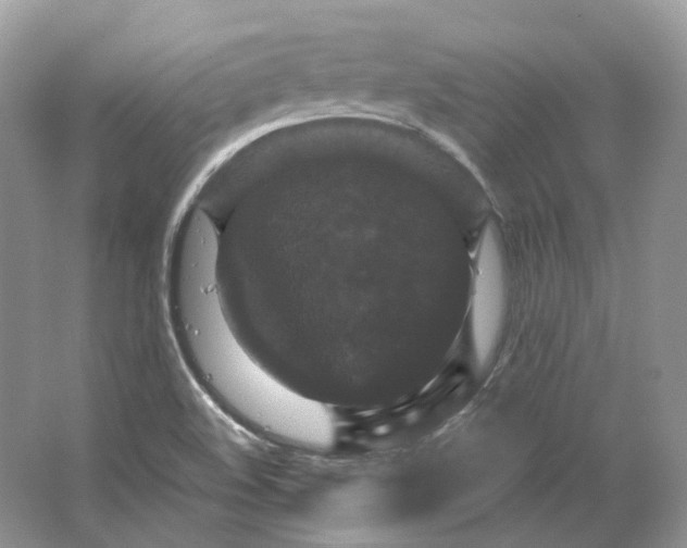 X0000066111508200603241530