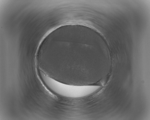 X0000066111517200603241531