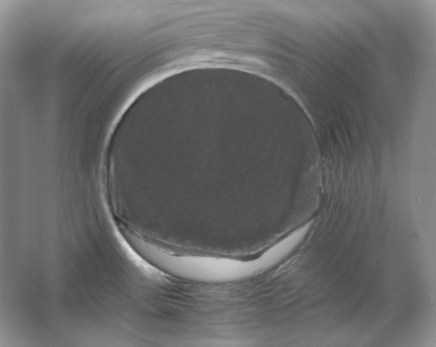X0000066111531200603241531