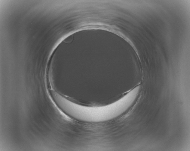 X0000066111533200603241531