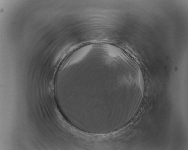 X0000066110002200603312102