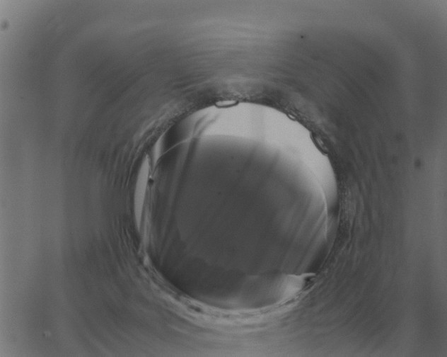 X0000066110027200603312101