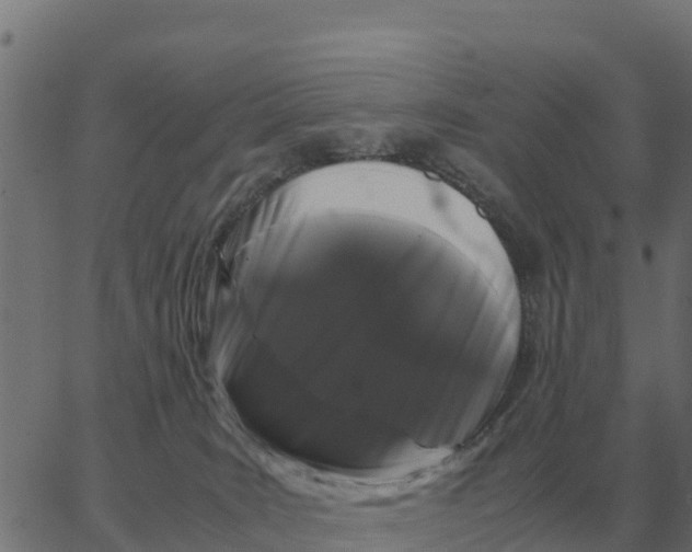 X0000066110035200603312101