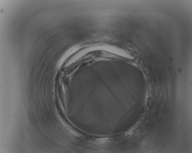 X0000066110054200603312100
