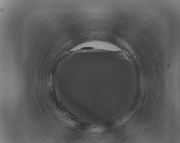 X0000066110073200603312101