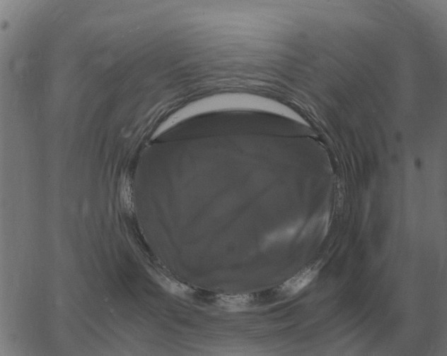 X0000066110143200603312059