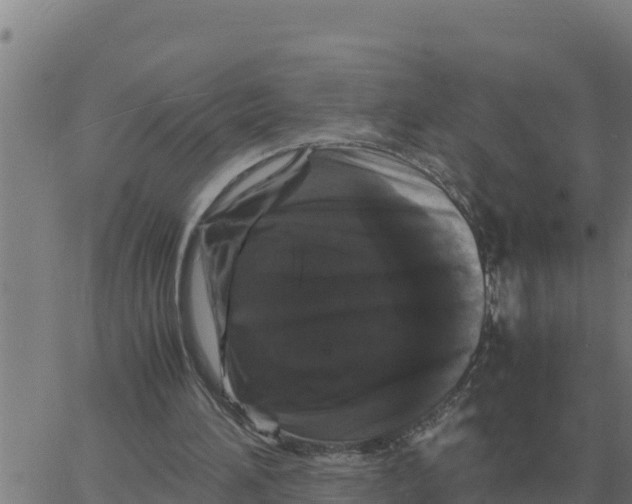 X0000066110196200603312058