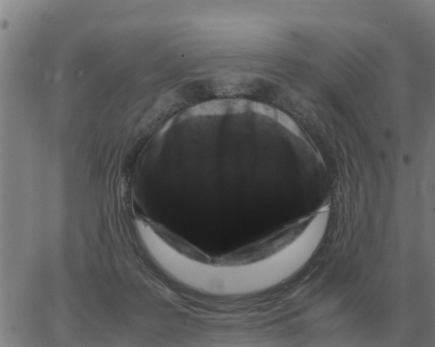 X0000066110219200603312058