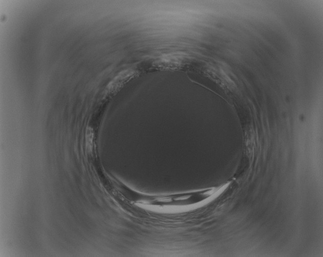 X0000066110231200603312058