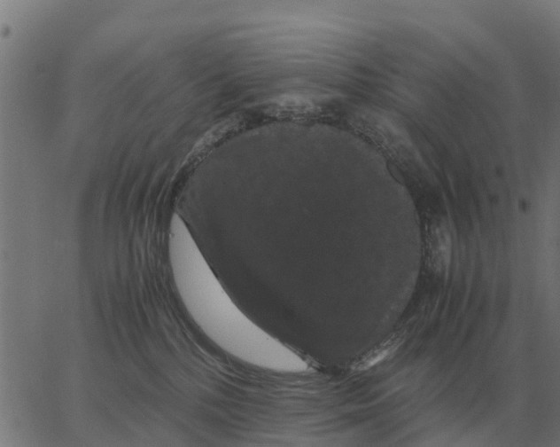 X0000066110232200603312058