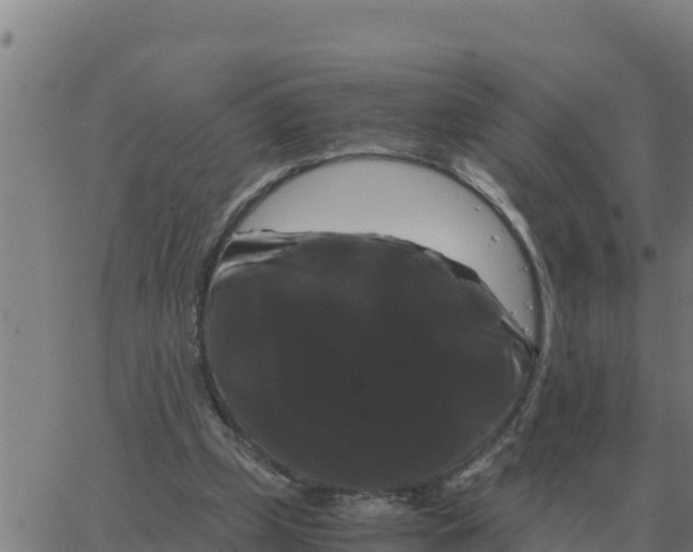 X0000066110249200603312057