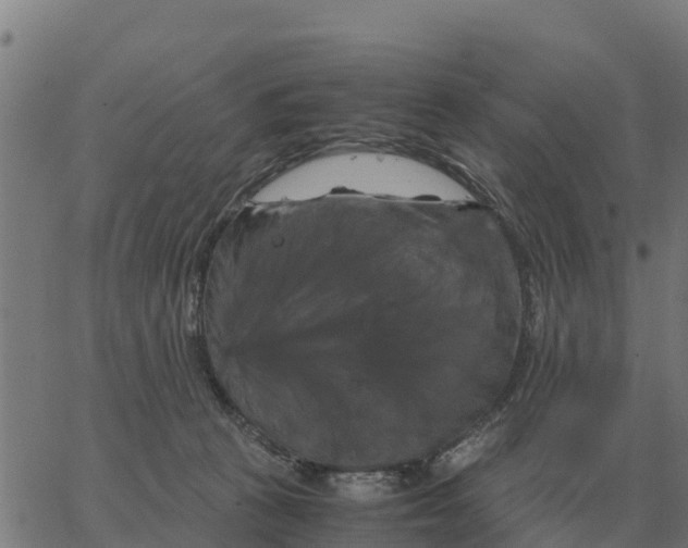 X0000066110273200603312058