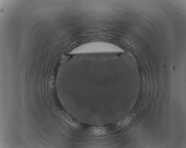X0000066110275200603312058