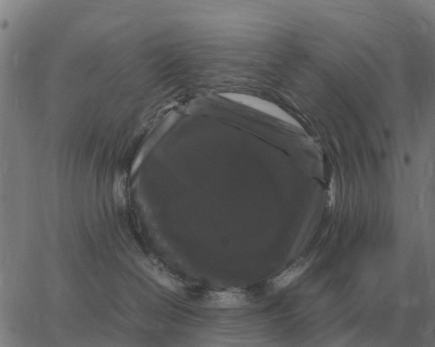 X0000066110286200603312058