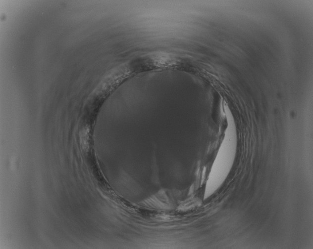 X0000066110319200603312057