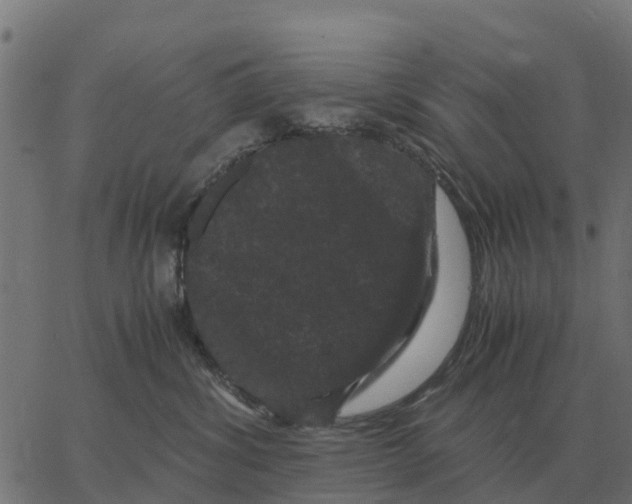 X0000066110428200603312055